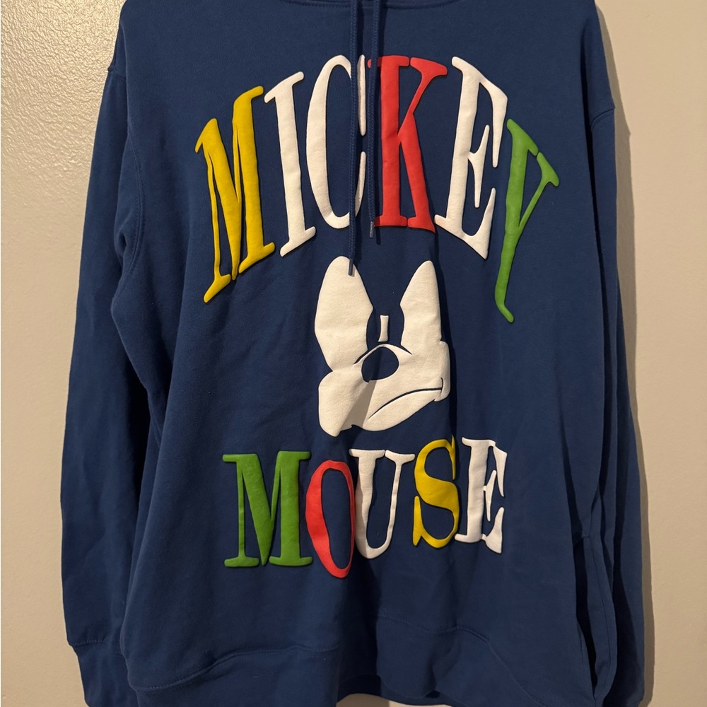 Disney Navy Mickey and Friends Hoodie